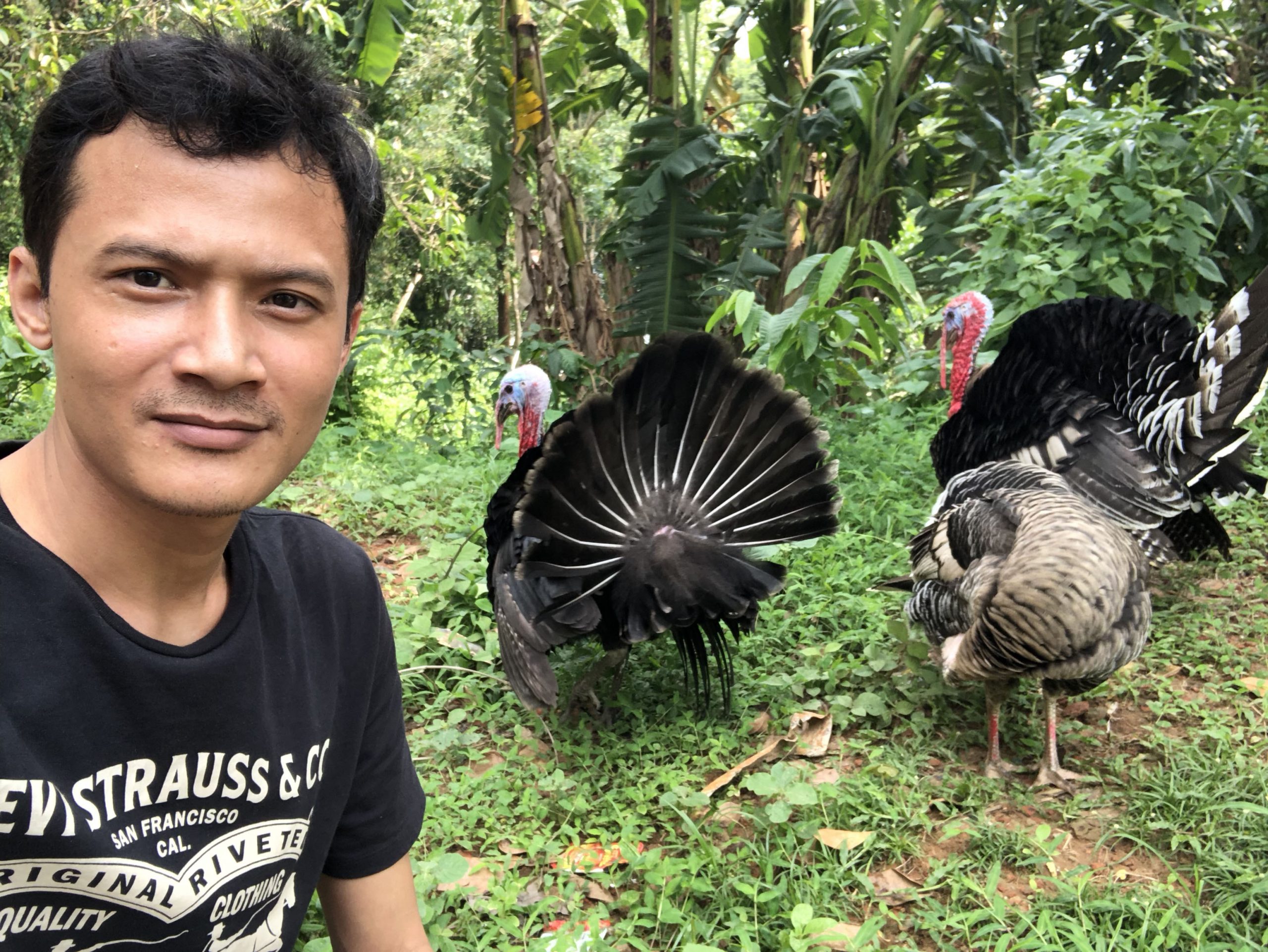 Sukhen with Turkey birds