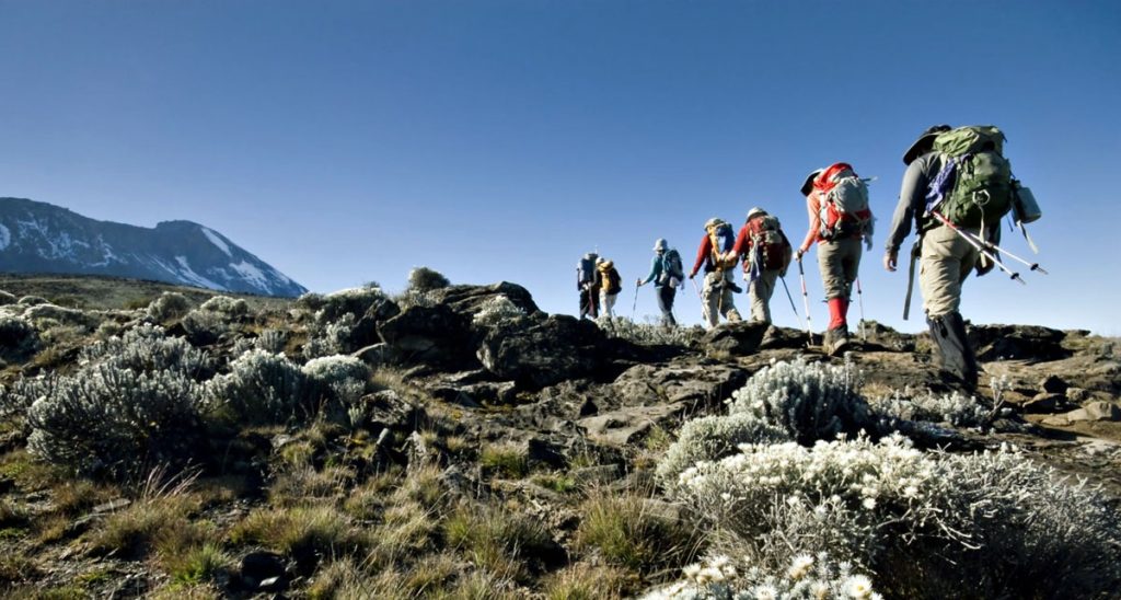Hiking in the Kilimanjaro with Daypack