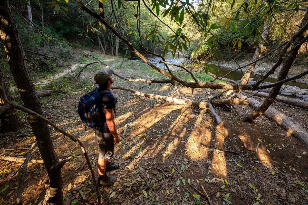 camper checking trees ground and drainage before setting camp
