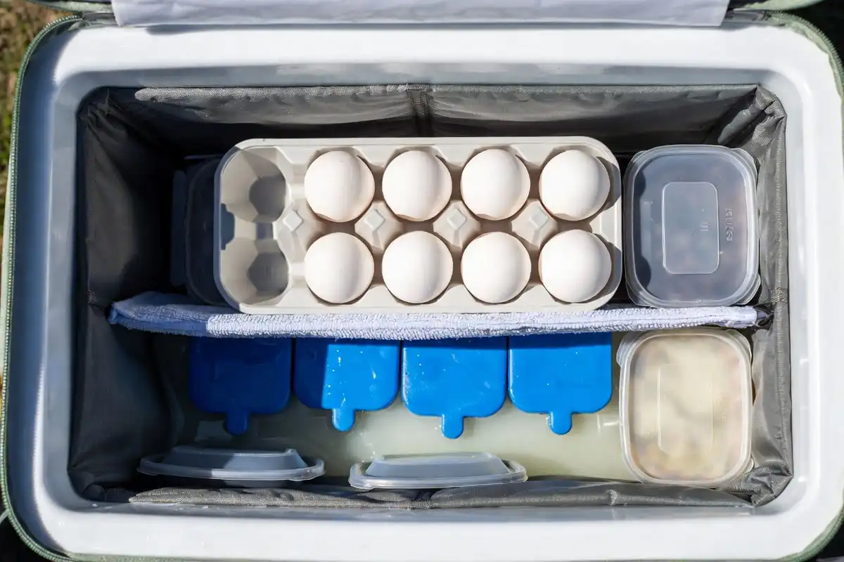 cooler setup keeping eggs dry above ice packs