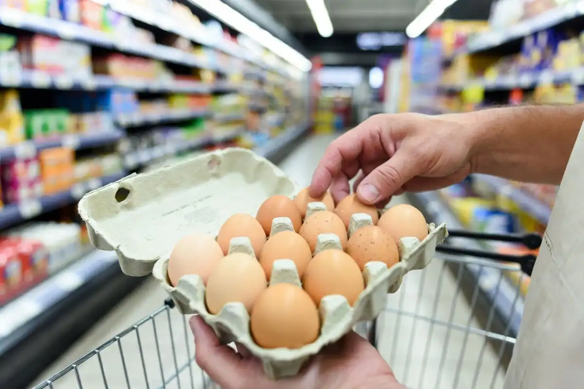 checking egg shells for cracks before camping