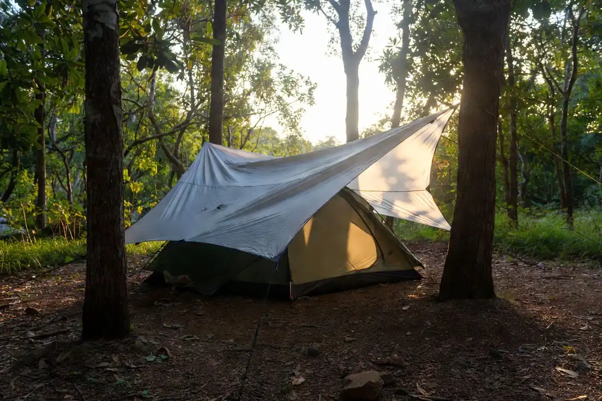 campsite showing tree spacing for tarp ridgeline and tie outs