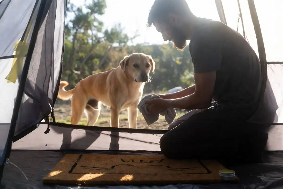 wiping dog paws at tent entrance on a doormat