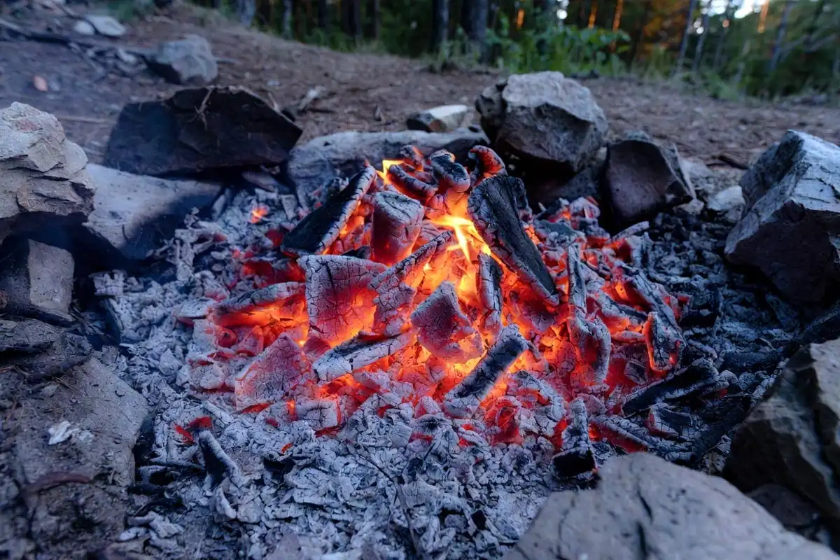 glowing orange red campfire coals with white ash layer showing cooking is ready