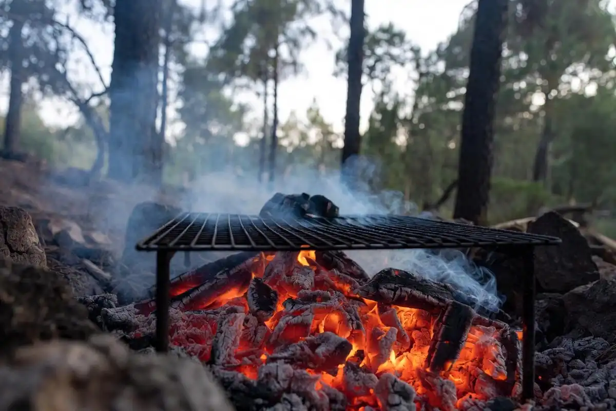 glowing campfire coals with cooking grate in forest fire ring