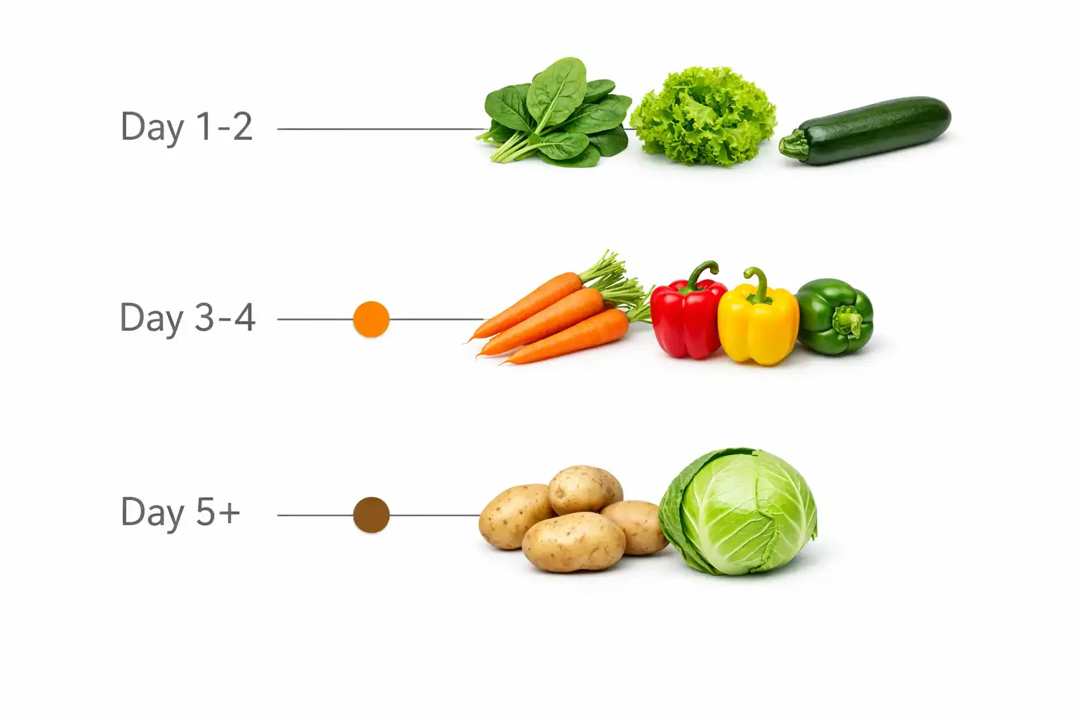 Infographic listed which vegetables to eat first on a camping trip