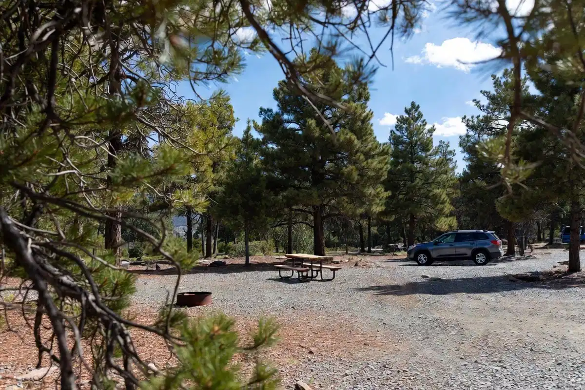 well-organized campground with fire ring, picnic table, and tall pine trees