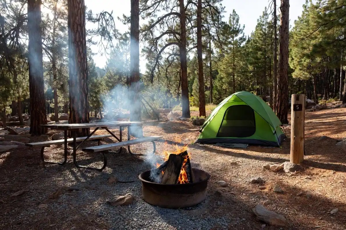 family campsite with picnic table fire ring and tent in a managed campground