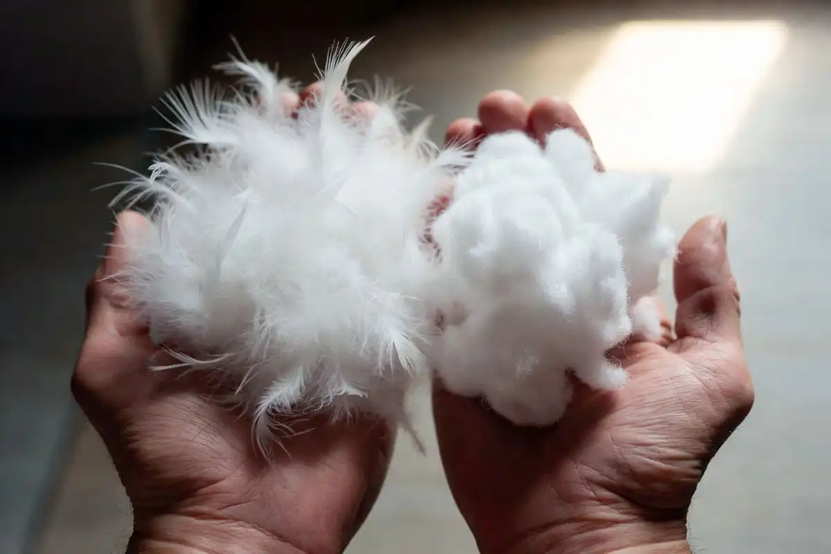 Handful of goose down clusters next to synthetic insulation fibers