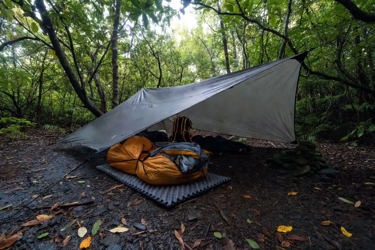 simple tarp and bivy shelter setup to stay warm overnight