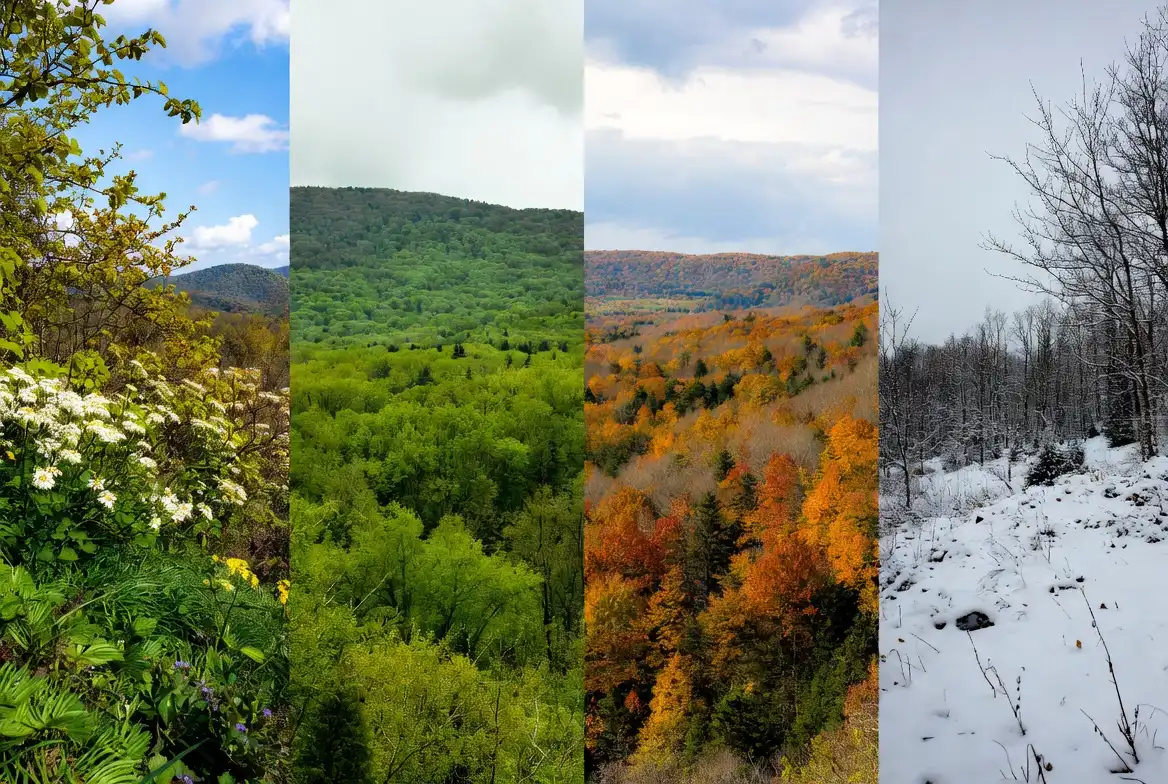 same destination landscape across spring summer autumn and winter seasons