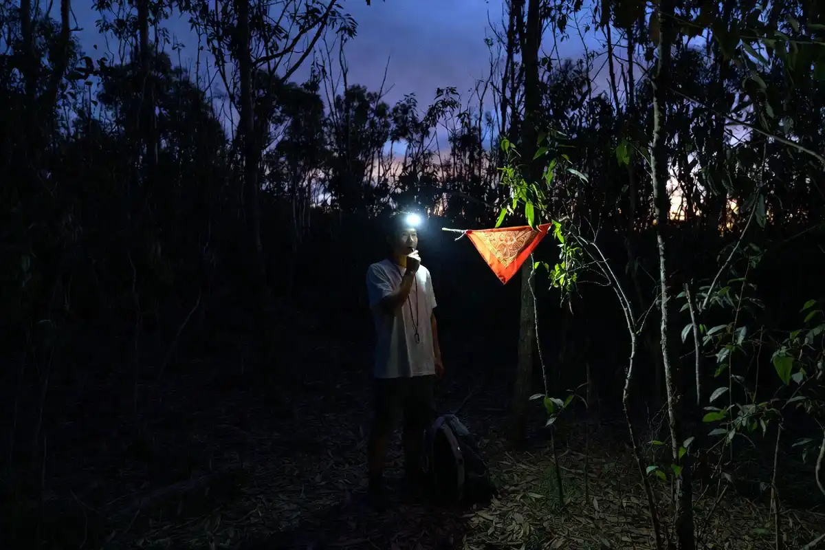 headlamp and whistle used for safety signaling near treeline