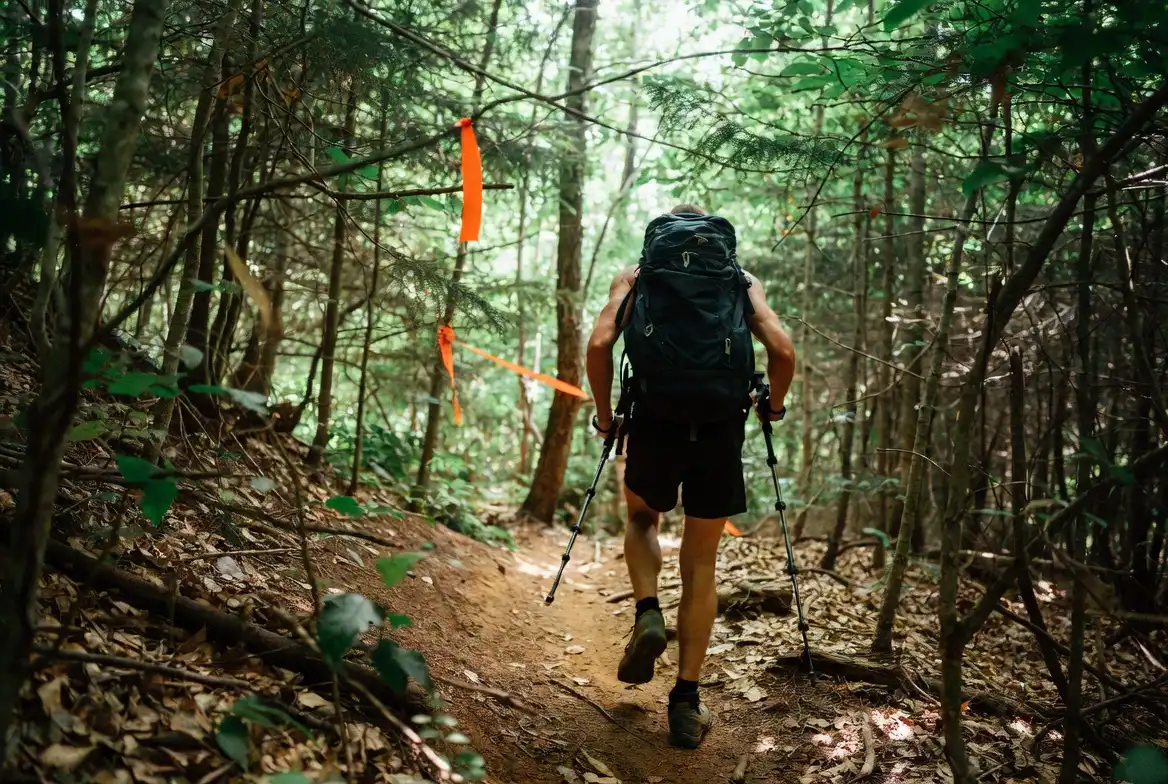 hiker carefully retracing steps on a faint woodland trail looking for path markers on the ground