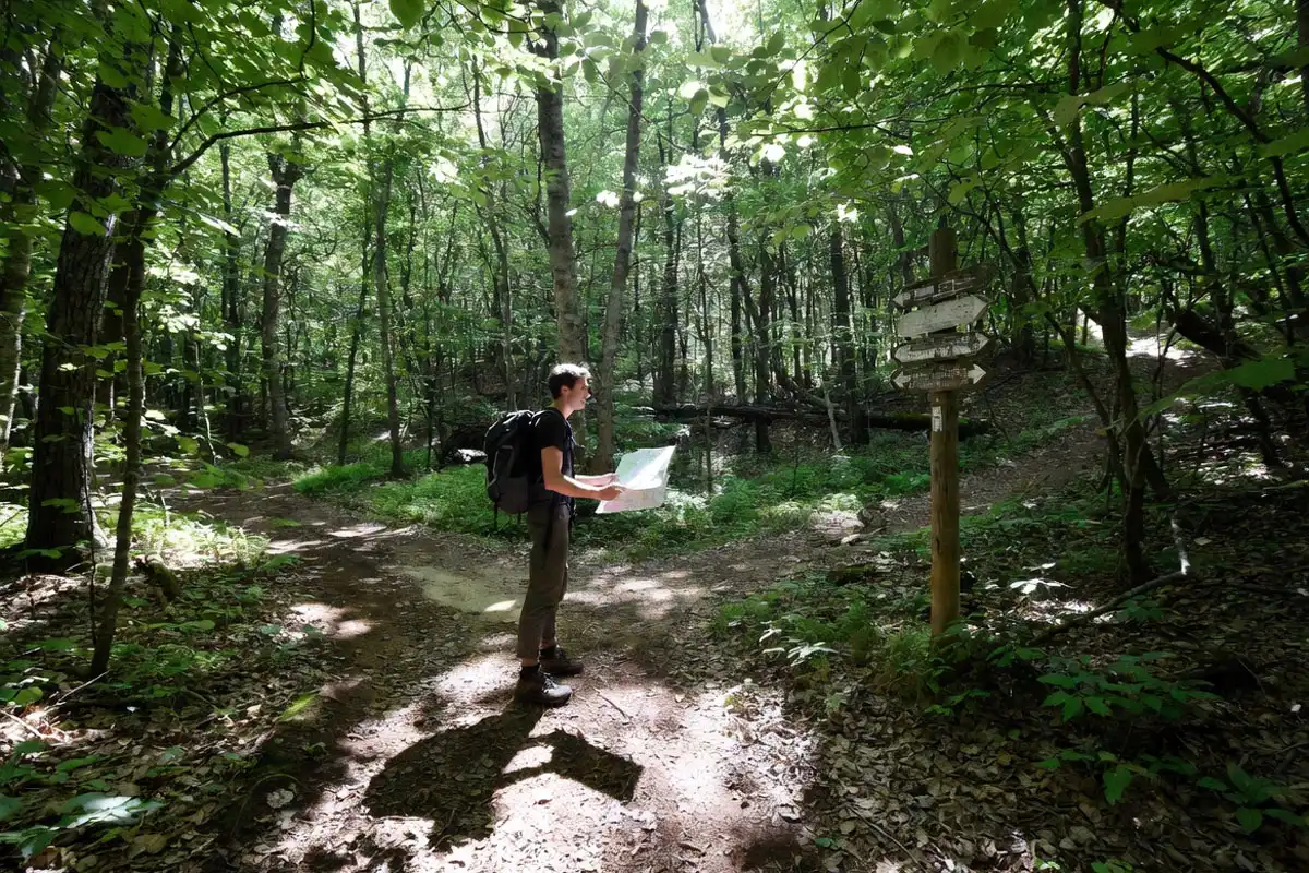 solo hiker reading trail junction signpost with paper map in forest