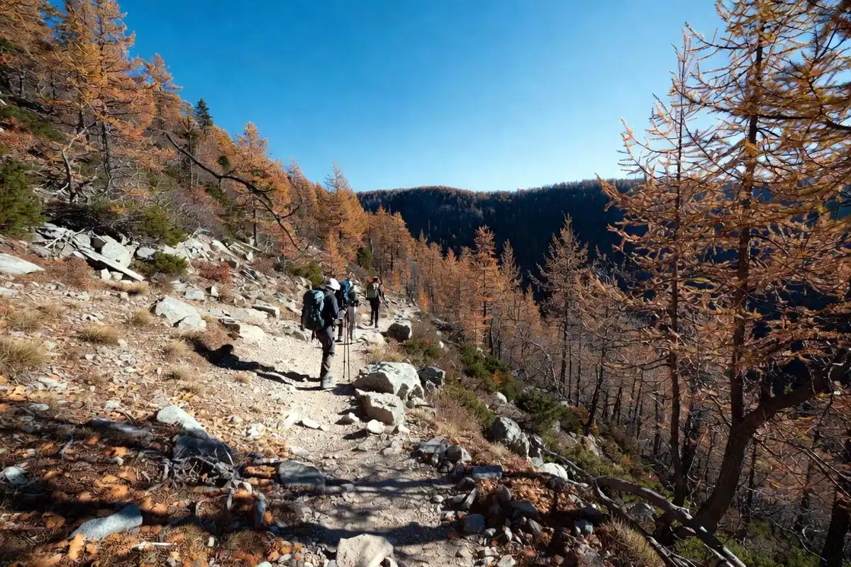 traveler caught in monsoon rain on flooded rural road