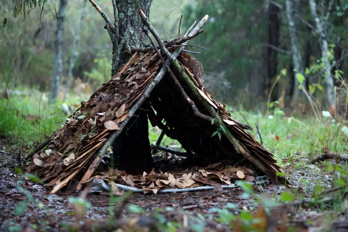 leaf and bark roof layered like shingles