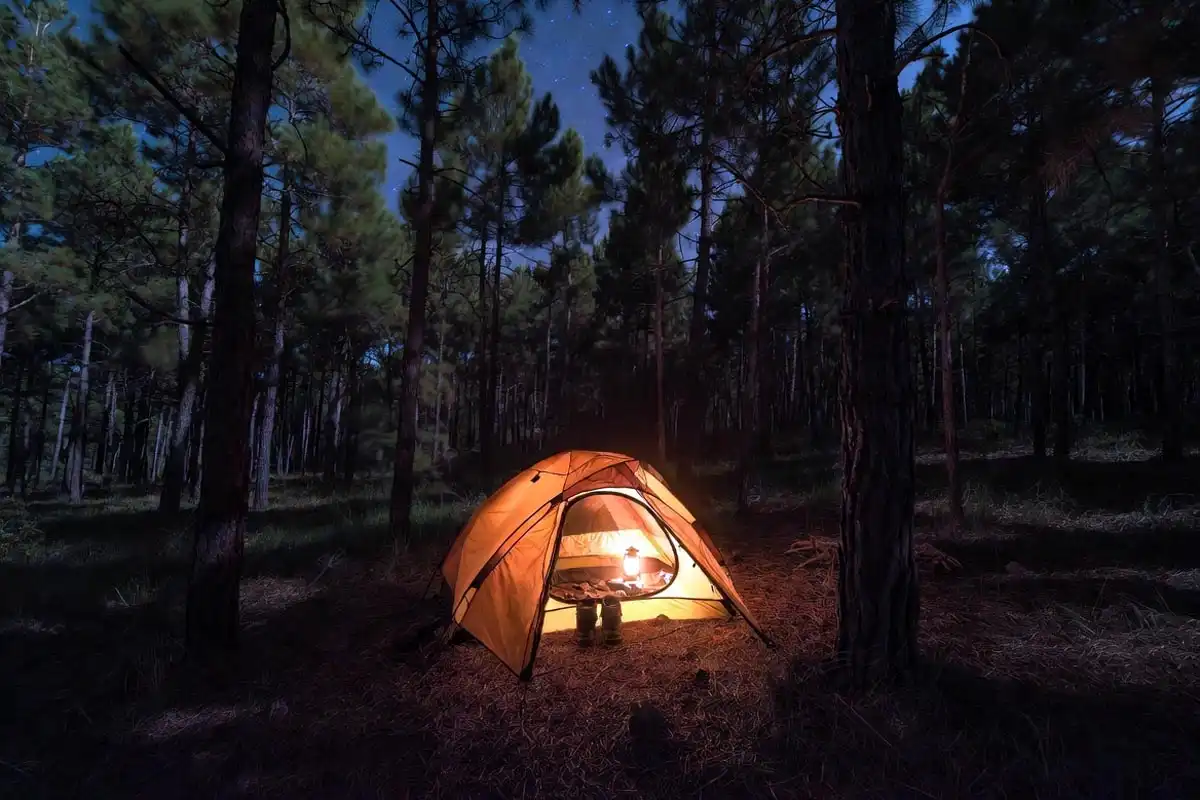 small orange tent glowing from inside surrounded by dark pine trees at night