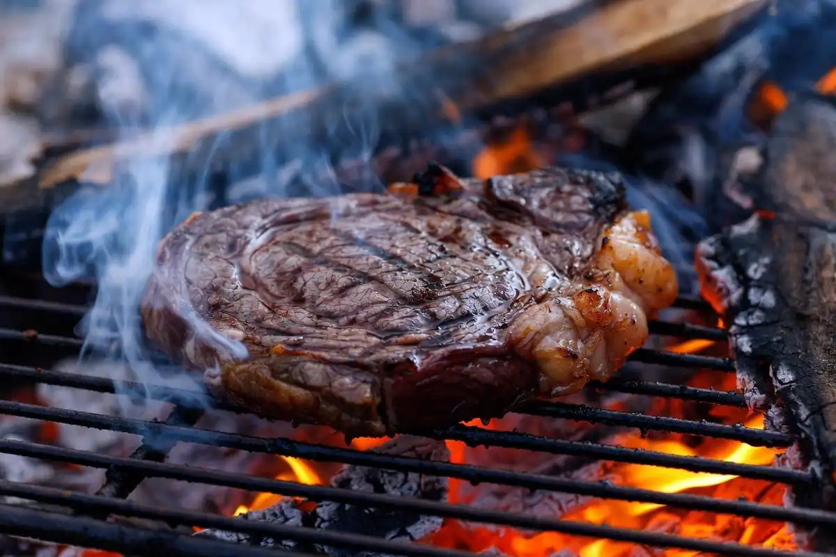 thick ribeye steak searing directly on hot campfire coal bed with ash crust