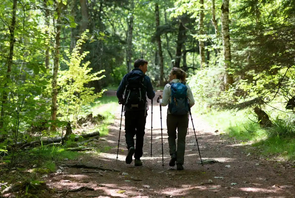two hikers having a conversation while walking at a comfortable pace on a forest trail