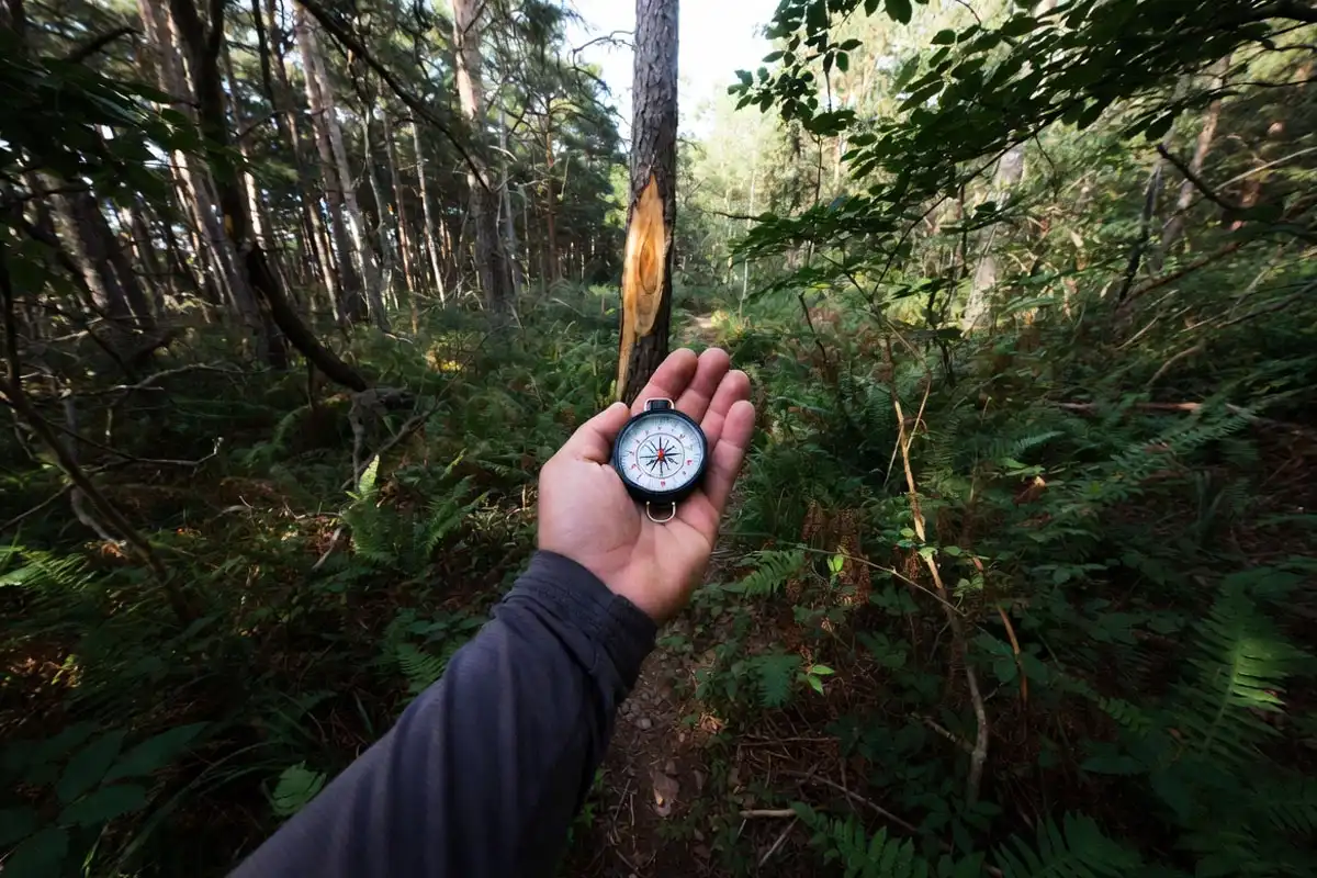 hiker sighting a compass line toward a target tree