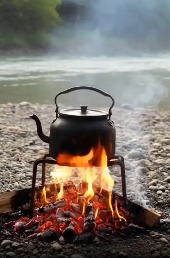 Camp Cooking