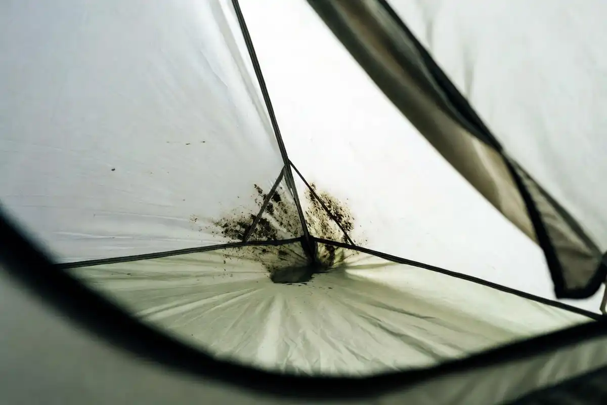Dark mold patches along the floor corners inside a camping tent