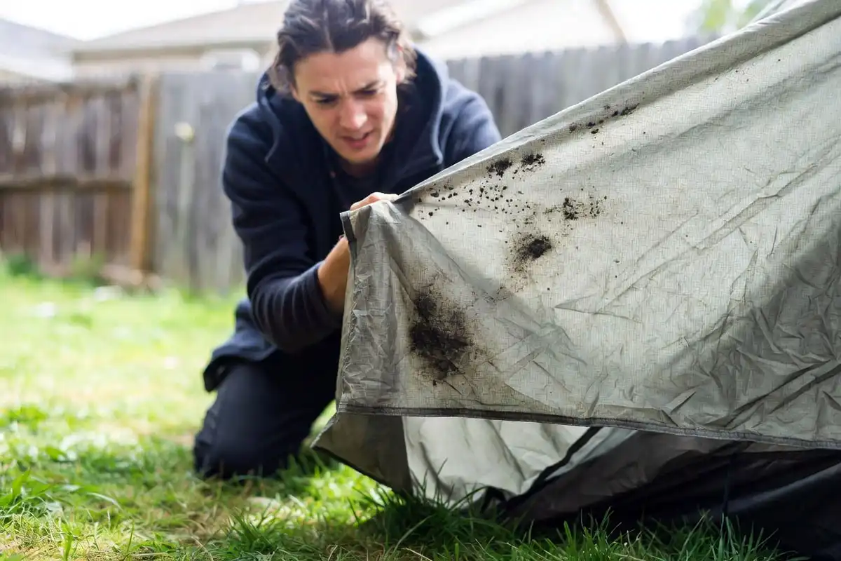 Camper inspecting dark mold spots on an unpacked tent spread on grass
