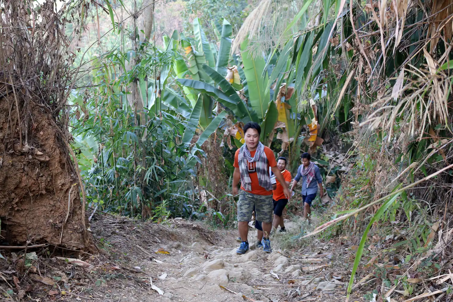 Hikers on the steep trail between Bogalake and Keokradong peak in Bandarban Bangladesh