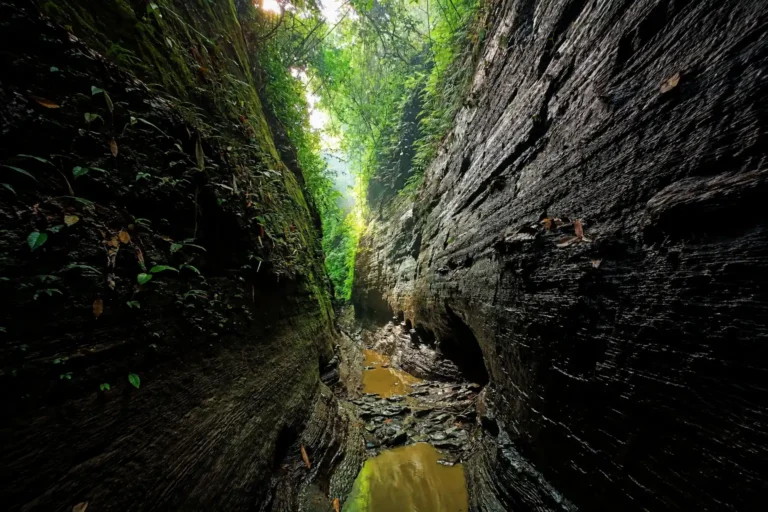 Ali’s Cave (Alir Guha), Alikadam, Bandarban