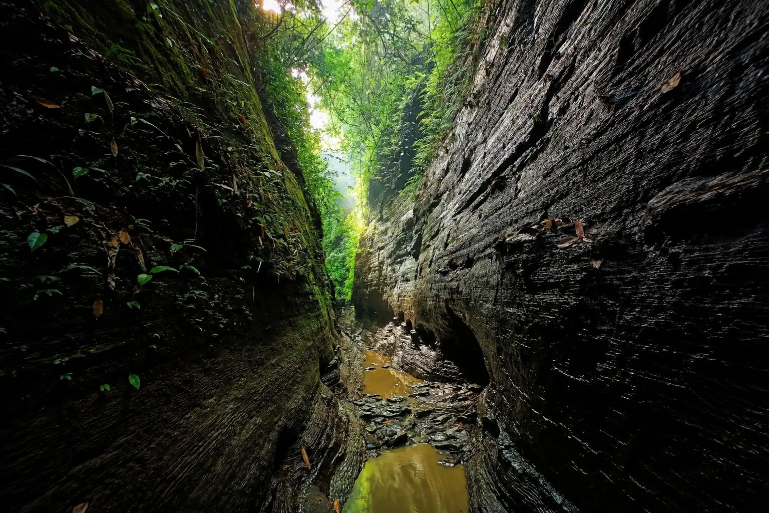 Ali’s Cave (Alir Guha), Alikadam, Bandarban