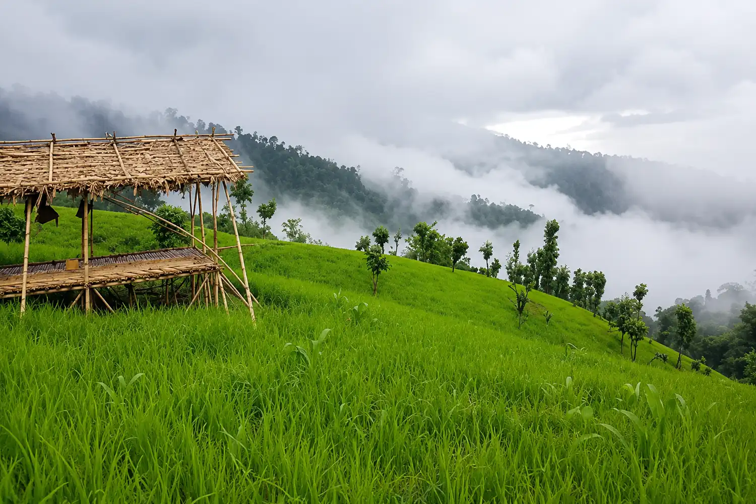 Traditional bamboo and wood machang houses on stilts in Khemchong Para near Kristong Pahar