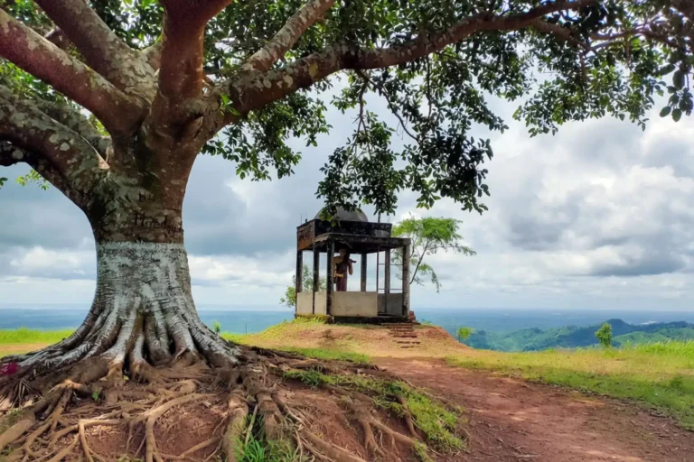Summit of Marayon Thong hill in Alikadam, Bandarban