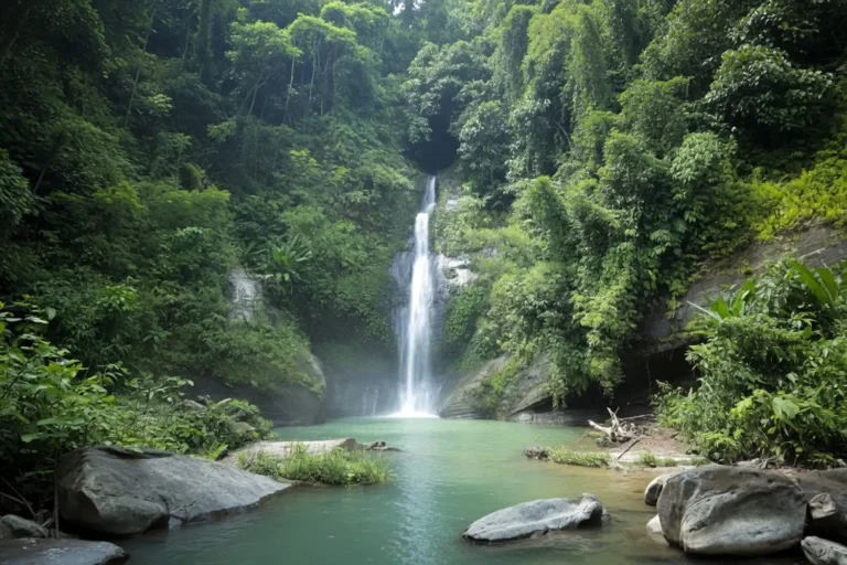 Thankowain Waterfall, Alikadam: Routes, Costs, and Trek Tips