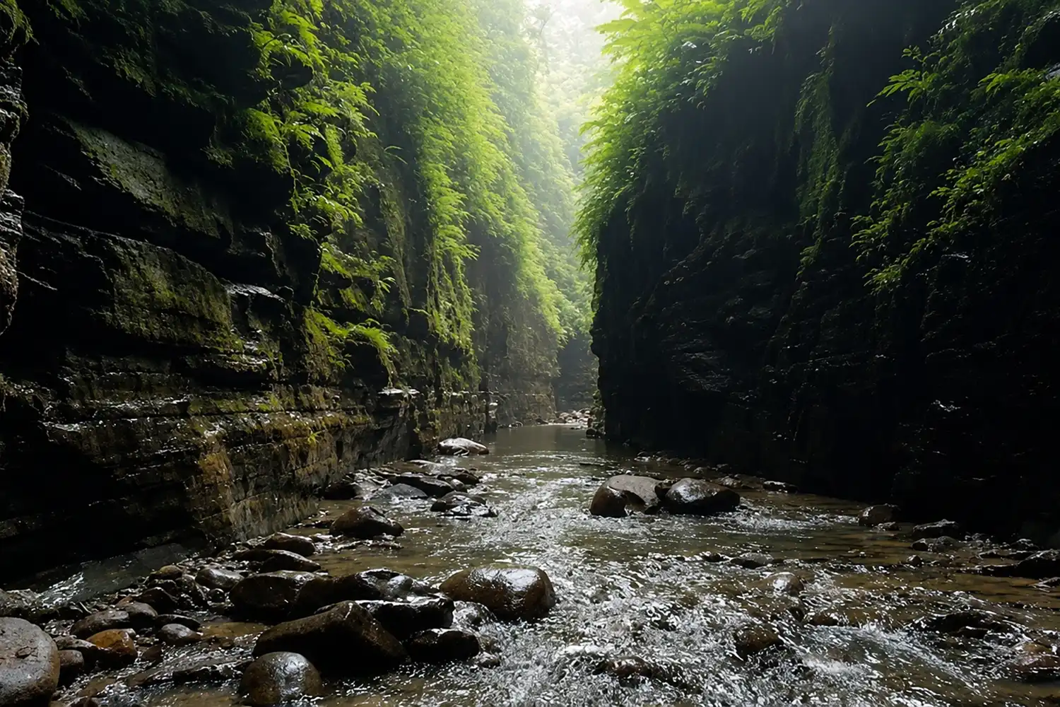 Walking the jhiri trail to Ali's Cave on wet rocks