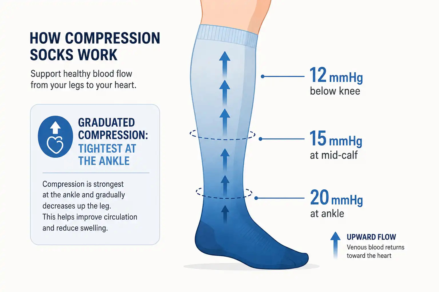 Diagram of a lower leg in a compression sock showing highest pressure at the ankle decreasing toward the knee, with arrows showing blood flow back toward the heart