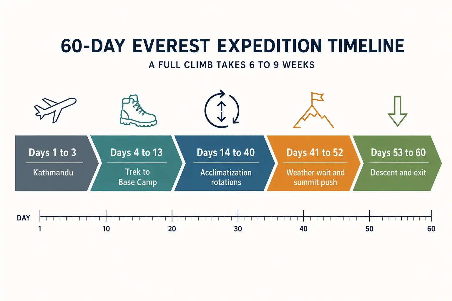 Timeline chart of a 60 day Everest expedition showing Kathmandu, trek to Base Camp, acclimatization rotations, summit push, and descent