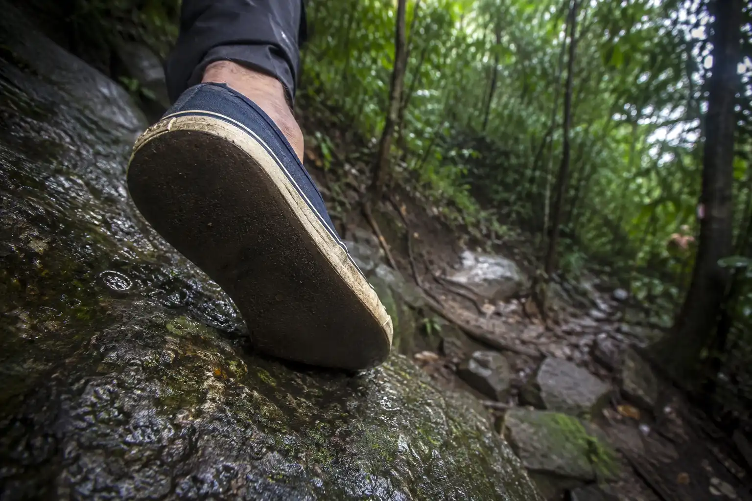 Close-up of a smooth-soled sneaker losing grip on a wet moss-covered rock on a steep forest trail