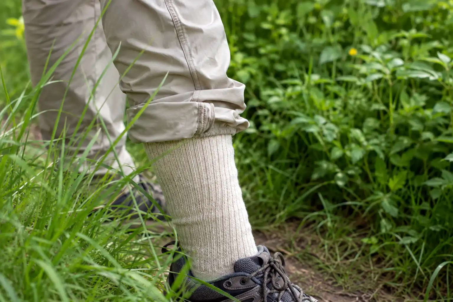 Hiker's light colored pants tucked into tall wool socks on a grassy trail edge to stop ticks climbing up the leg