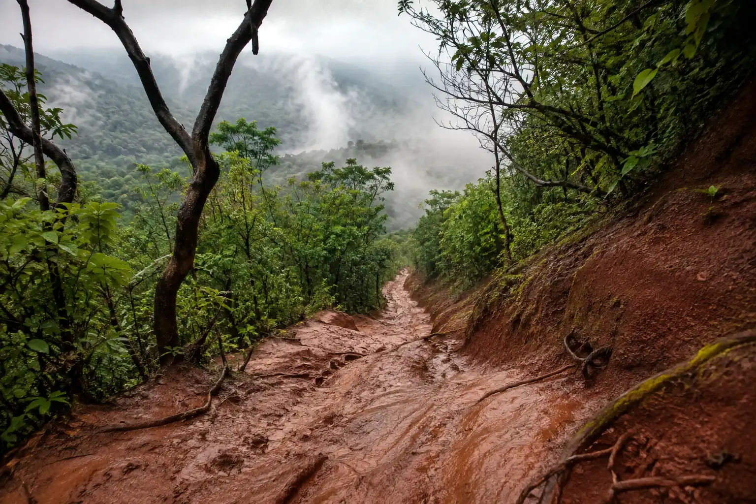 Wet red clay hill trail marked with boot slides, the ground where Blundstones lose grip on descents