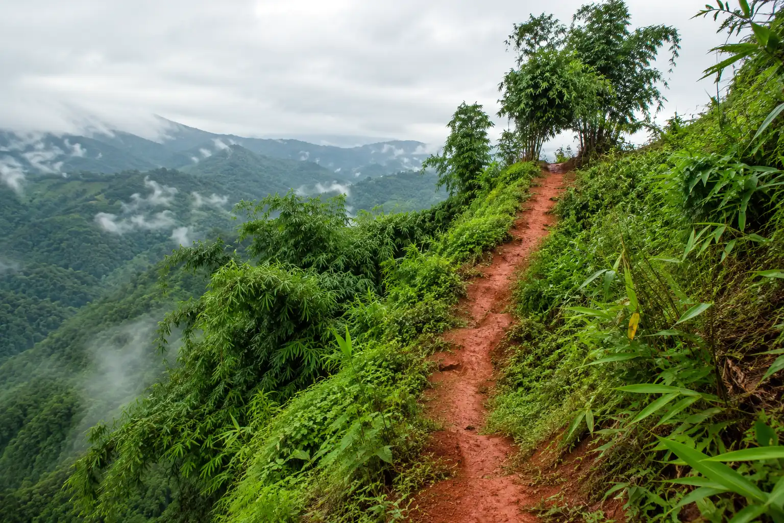 Narrow red clay trail climbing a green hillside in the Bandarban hills under low cloud