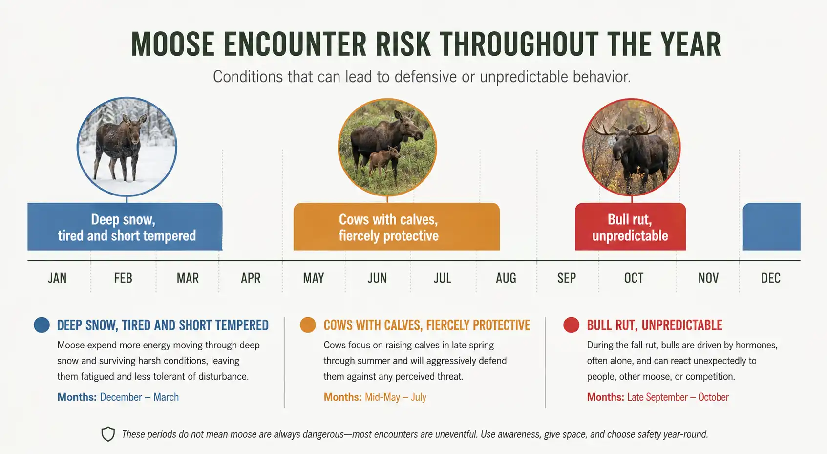 Twelve month breakdown of moose risk showing protective cows from mid May through July, unpredictable bulls during the September and October rut, and short tempered moose in deep winter snow