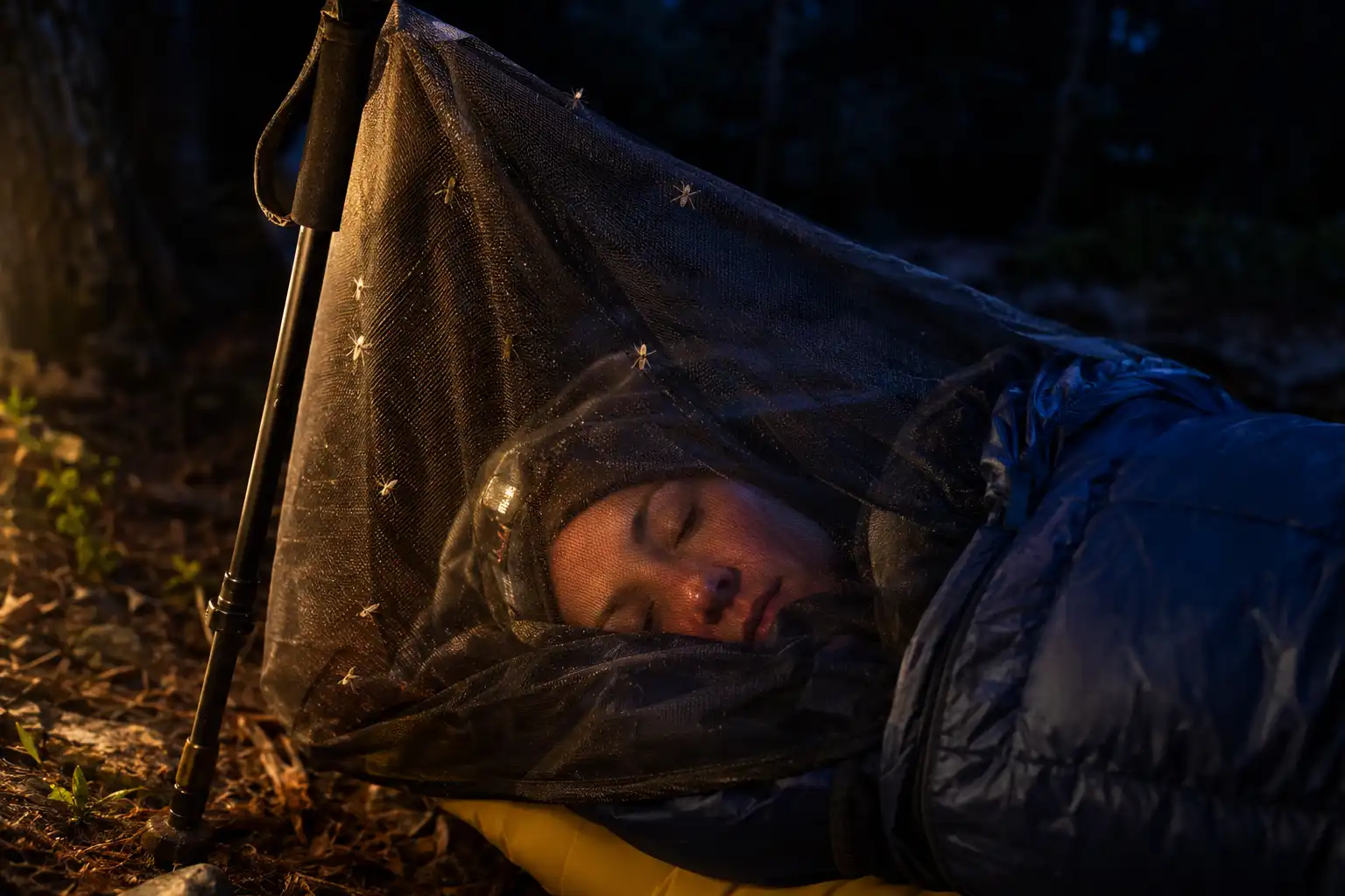 Mosquito head net propped clear of a sleeping camper's face by a trekking pole tip at night